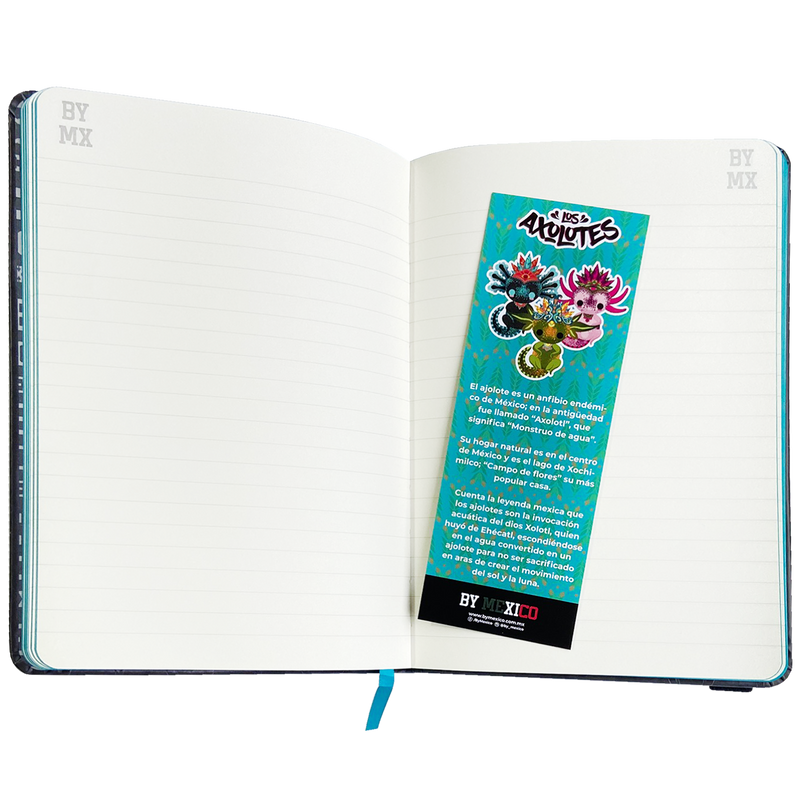 Cute axolotl notebook