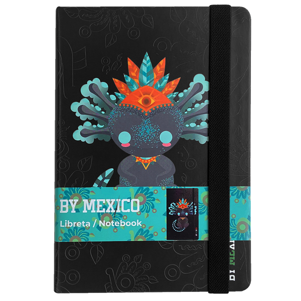 axolotl notebook