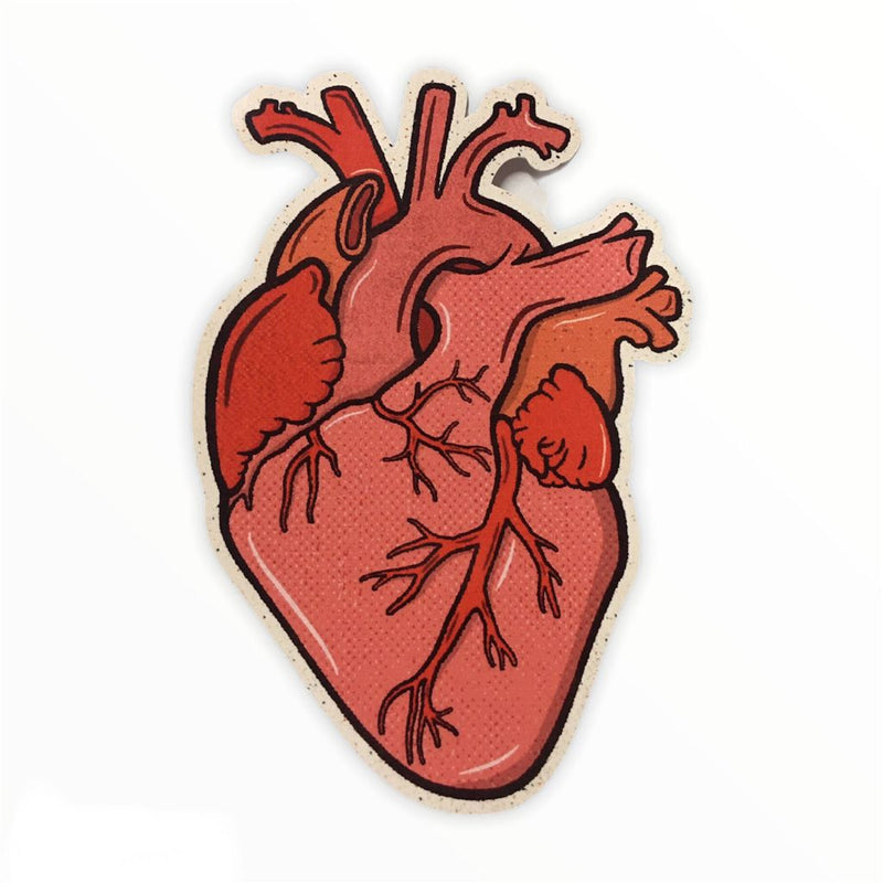 Anatomical Heart Waterproof Sticker